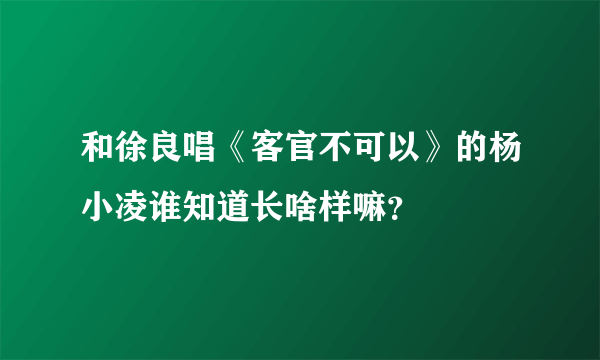 和徐良唱《客官不可以》的杨小凌谁知道长啥样嘛？