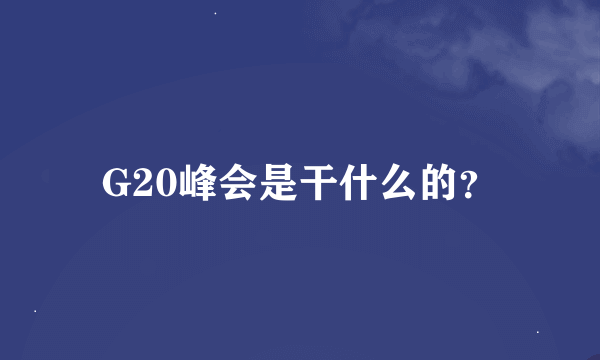 G20峰会是干什么的？