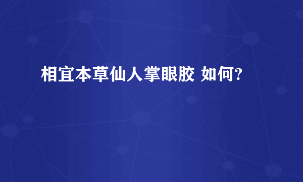 相宜本草仙人掌眼胶 如何?