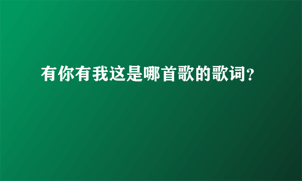 有你有我这是哪首歌的歌词？