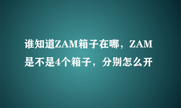 谁知道ZAM箱子在哪，ZAM是不是4个箱子，分别怎么开