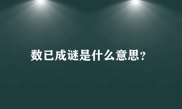 数已成谜是什么意思？