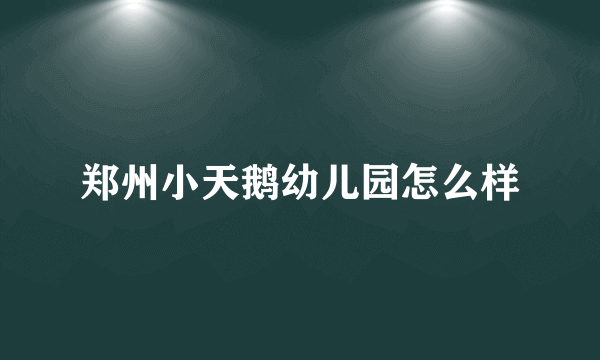 郑州小天鹅幼儿园怎么样