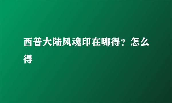 西普大陆风魂印在哪得？怎么得