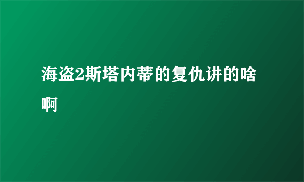 海盗2斯塔内蒂的复仇讲的啥啊