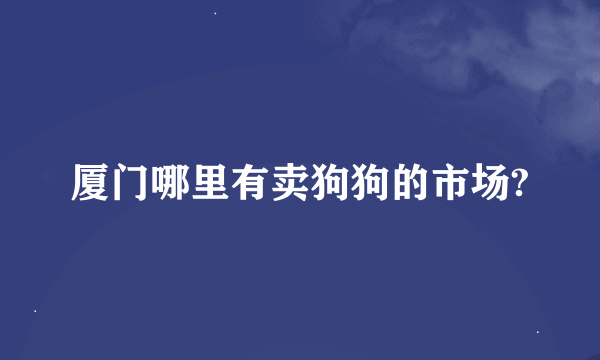 厦门哪里有卖狗狗的市场?