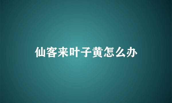 仙客来叶子黄怎么办