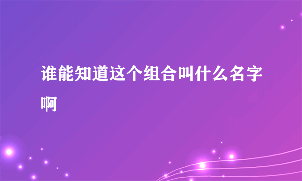 谁能知道这个组合叫什么名字啊