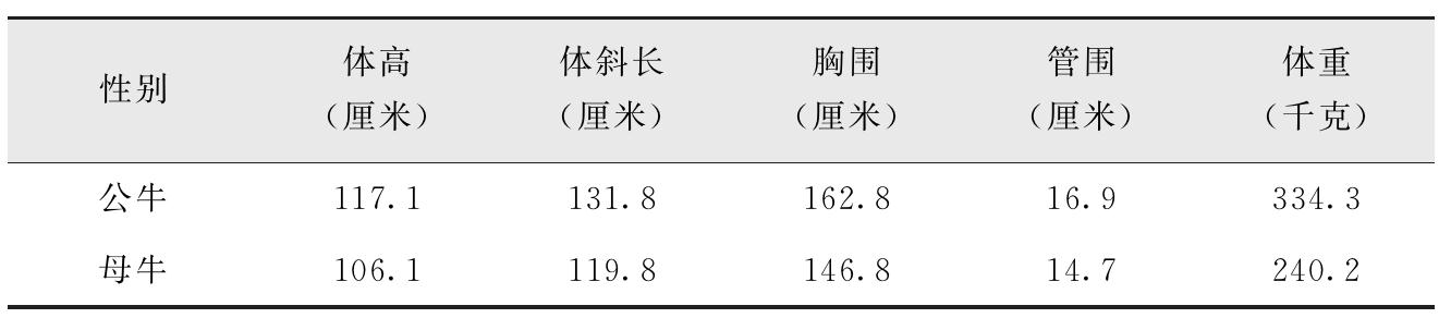 我国有哪些黄牛品种？特点是什么？