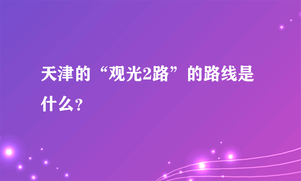 天津的“观光2路”的路线是什么？