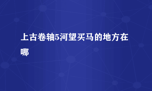 上古卷轴5河望买马的地方在哪