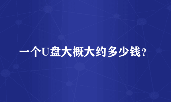 一个U盘大概大约多少钱？