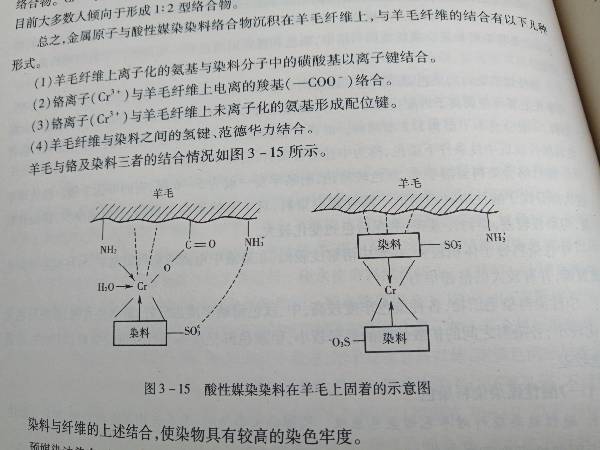 茜草是一种什么结构的染料？它是如何跟纤维结合的？