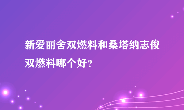 新爱丽舍双燃料和桑塔纳志俊双燃料哪个好？