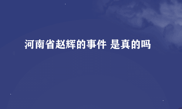 河南省赵辉的事件 是真的吗