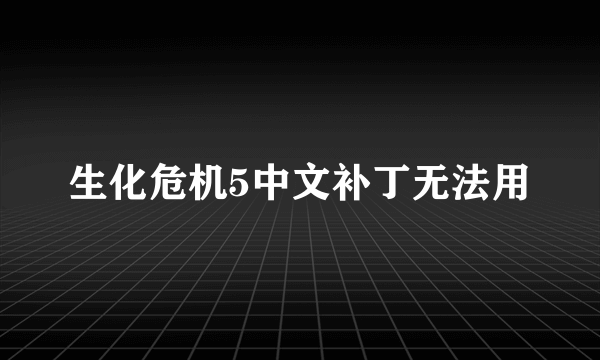 生化危机5中文补丁无法用