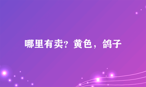 哪里有卖？黄色，鸽子