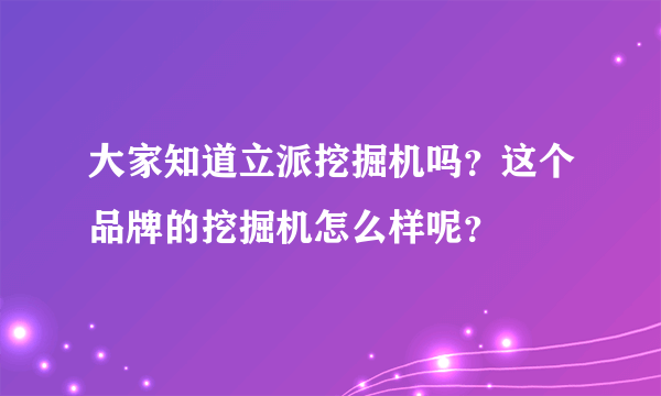 大家知道立派挖掘机吗？这个品牌的挖掘机怎么样呢？