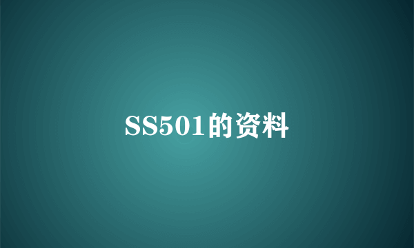 SS501的资料