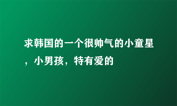 求韩国的一个很帅气的小童星，小男孩，特有爱的