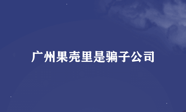 广州果壳里是骗子公司