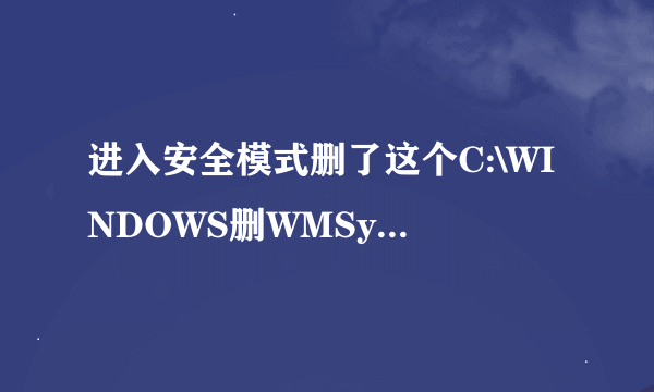 进入安全模式删了这个C:\WINDOWS删WMSysPr9.prx文件电脑会出现什么问题吗