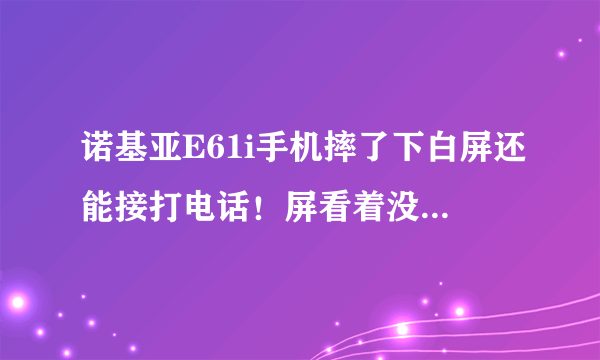 诺基亚E61i手机摔了下白屏还能接打电话！屏看着没坏 排线没松 着该咋办？