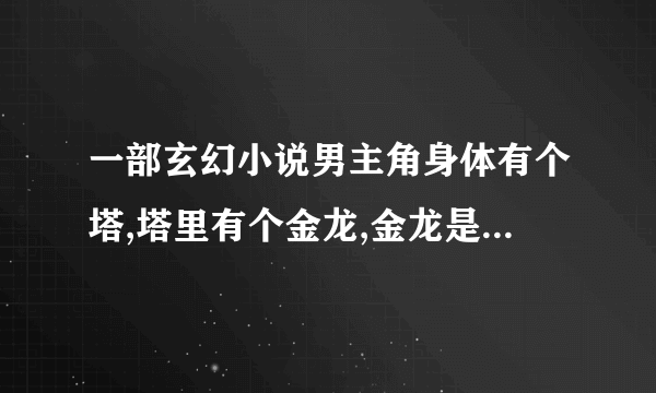 一部玄幻小说男主角身体有个塔,塔里有个金龙,金龙是龙王，主角叫凌天