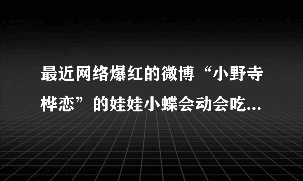 最近网络爆红的微博“小野寺桦恋”的娃娃小蝶会动会吃东西吗，看那个小野寺桦恋整天说带她去吃东西去玩什