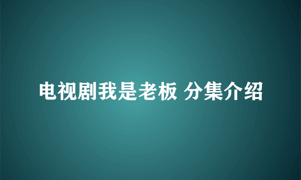 电视剧我是老板 分集介绍