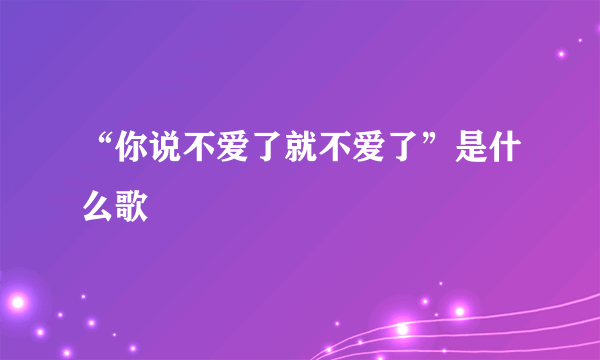 “你说不爱了就不爱了”是什么歌