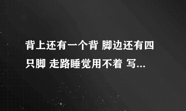 背上还有一个背 脚边还有四只脚 走路睡觉用不着 写字画画要它帮 这是什么生肖