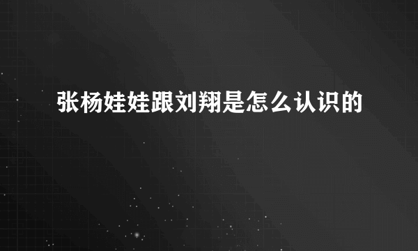 张杨娃娃跟刘翔是怎么认识的