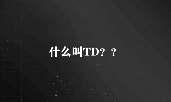 什么叫TD？？