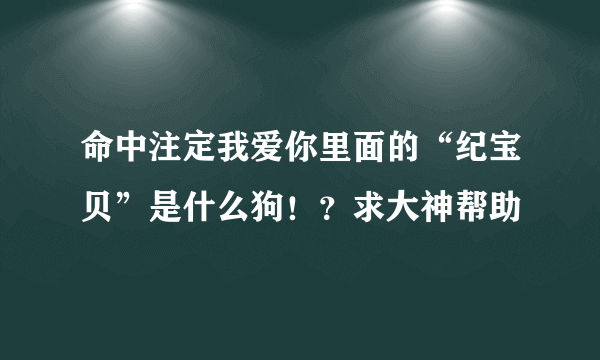 命中注定我爱你里面的“纪宝贝”是什么狗！？求大神帮助