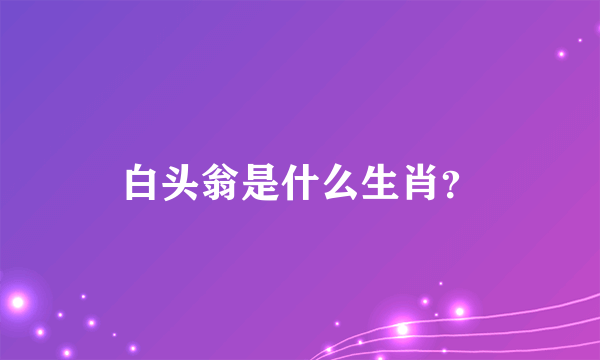 白头翁是什么生肖？