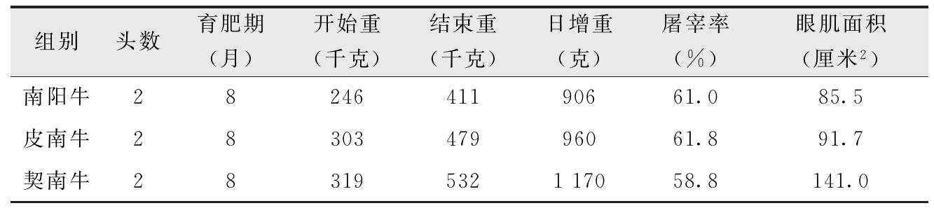 我国有哪些黄牛品种？特点是什么？