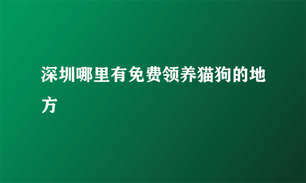 深圳哪里有免费领养猫狗的地方