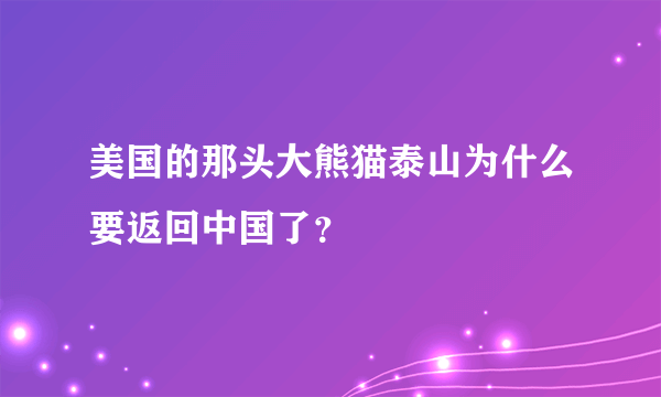 美国的那头大熊猫泰山为什么要返回中国了？