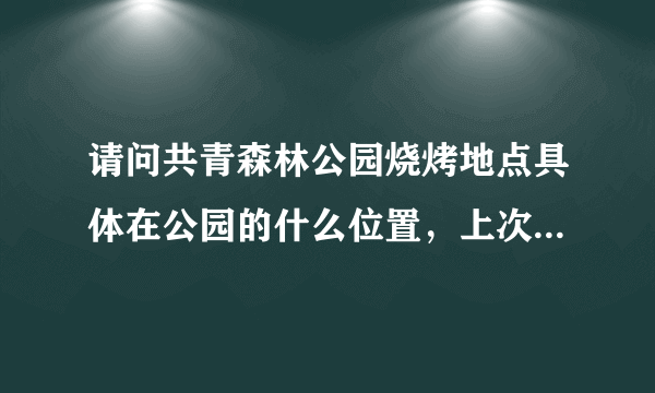 请问共青森林公园烧烤地点具体在公园的什么位置，上次去就没找到