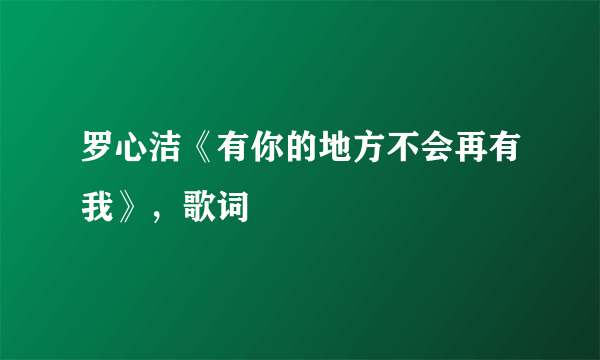 罗心洁《有你的地方不会再有我》，歌词