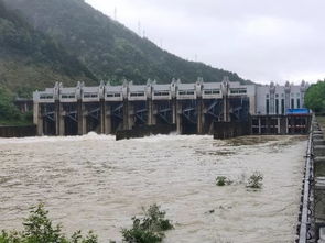 广西暴雨涨水后男子路上捞鱼！这一举动可能会带来哪些风险？