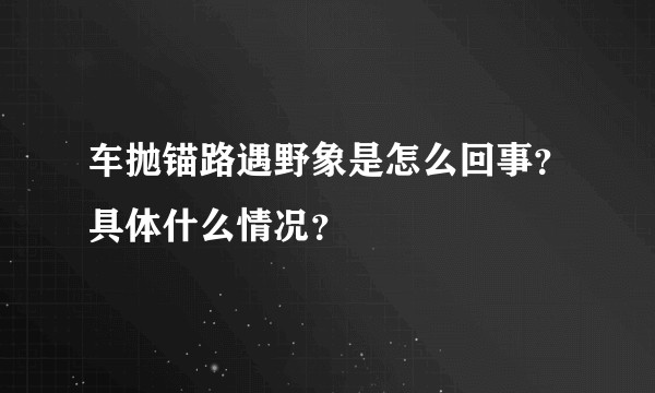 车抛锚路遇野象是怎么回事？具体什么情况？