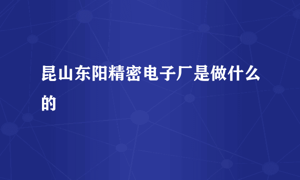 昆山东阳精密电子厂是做什么的