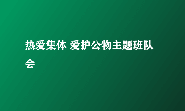 热爱集体 爱护公物主题班队会