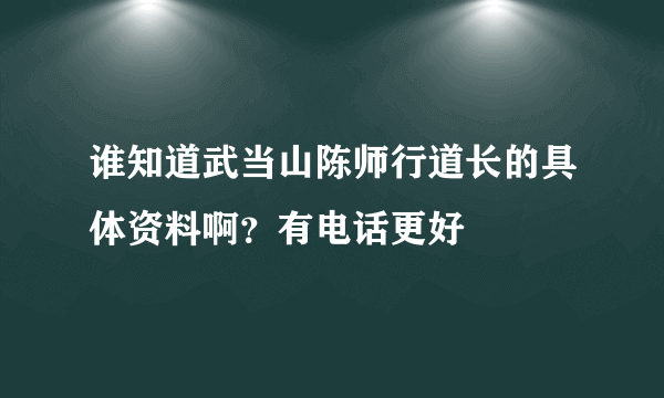 谁知道武当山陈师行道长的具体资料啊？有电话更好