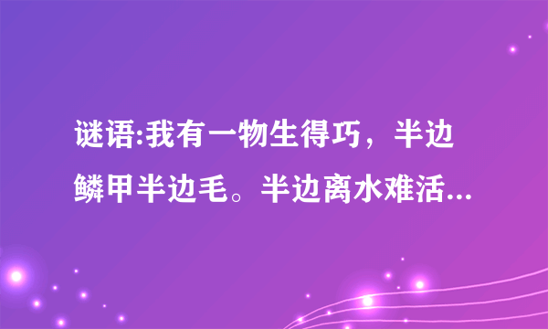 谜语:我有一物生得巧，半边鳞甲半边毛。半边离水难活命，半边入水命难保。