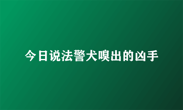 今日说法警犬嗅出的凶手