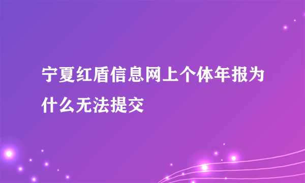 宁夏红盾信息网上个体年报为什么无法提交