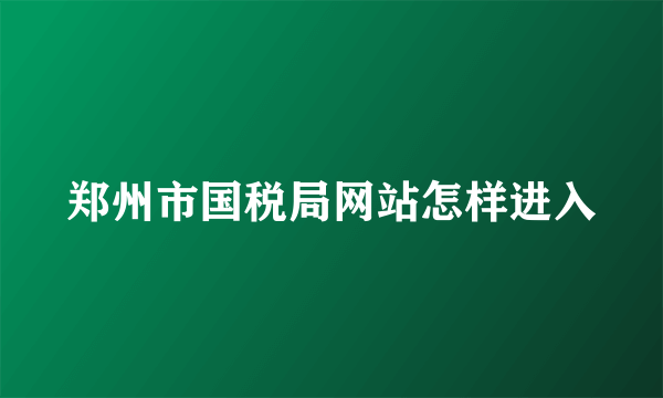 郑州市国税局网站怎样进入